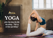 Yoga giảm đau lưng cho dân văn phòng – Thật sự có hiệu quả không?