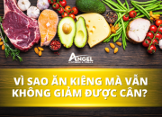 Vì sao ăn kiêng mà vẫn không giảm cân? Sai lầm thường gặp