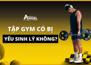 Tập GYM Có Bị Yếu Sinh Lý Không?
