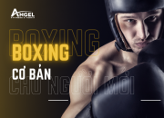 Boxing cơ bản: Cách đứng tấn và ra đòn thẳng chuẩn kỹ thuật