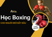 Học boxing từ con số 0 – Người mới bắt đầu nên làm gì