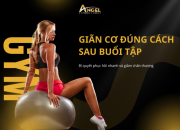 Giãn cơ đúng cách sau buổi tập – Bí quyết phục hồi nhanh và giảm chấn thương