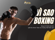 Vì sao Boxing đang trở thành bộ môn “giải tỏa stress” được ưa chuộng nhất hiện nay?