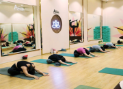 Tập Yoga Mỗi Ngày Có Tốt Không? Những Điều Bạn Cần Biết