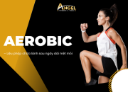 Aerobic – Liệu pháp chữa lành sau ngày dài mệt mỏi