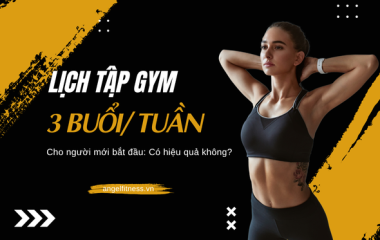 Lịch gym 3 buổi/tuần cho người mới bắt đầu: Có hiệu quả không?