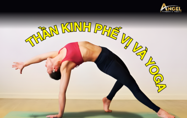Thần kinh phế vị và Yoga: Bí mật của sự bình tĩnh và khả năng tự chữa lành