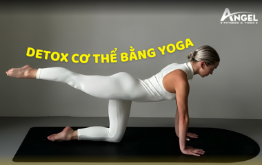 Detox cơ thể bằng Yoga – Cơ chế thanh lọc tự nhiên từ bên trong