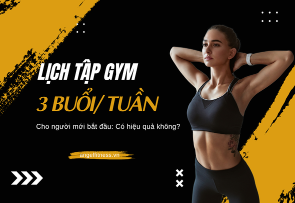 Lịch gym 3 buổi/tuần cho người mới bắt đầu: Có hiệu quả không?